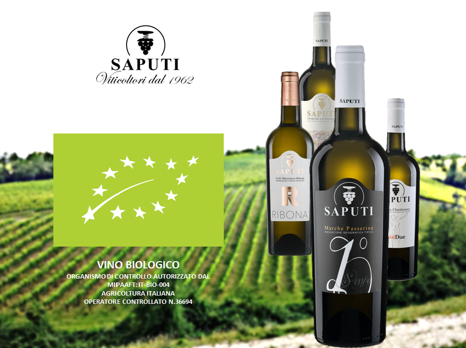 Cantina Saputi - 📣 Il 2019 inizia con importanti #novità...