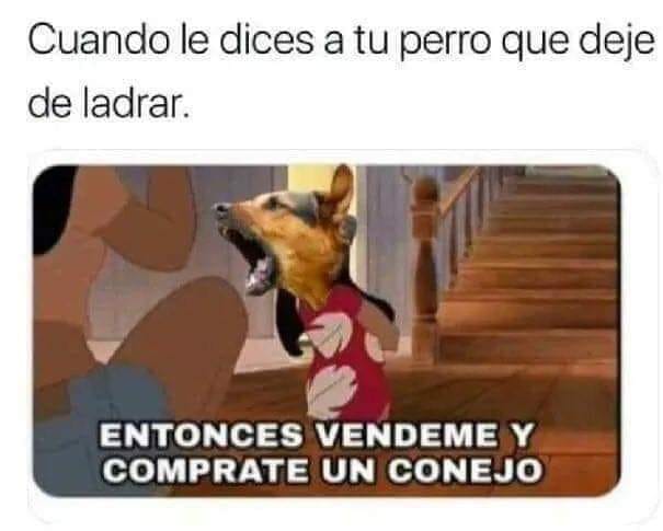 Memes y Frases