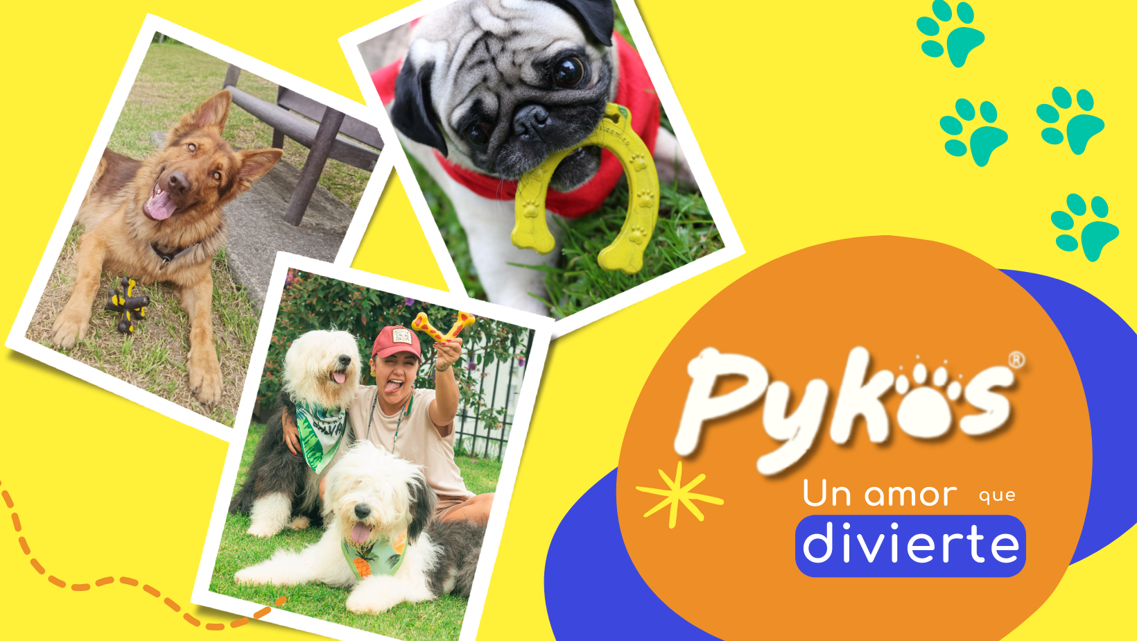 Pykos Mascotas | Manizales