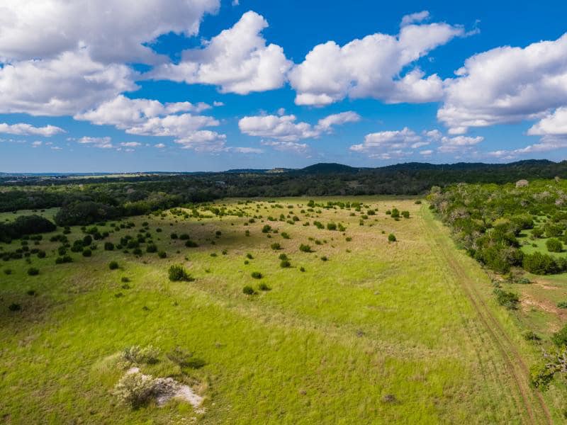 Texas LandMen - 🌳 ️ 116 ac Airport Ranch In a growing... | Facebook