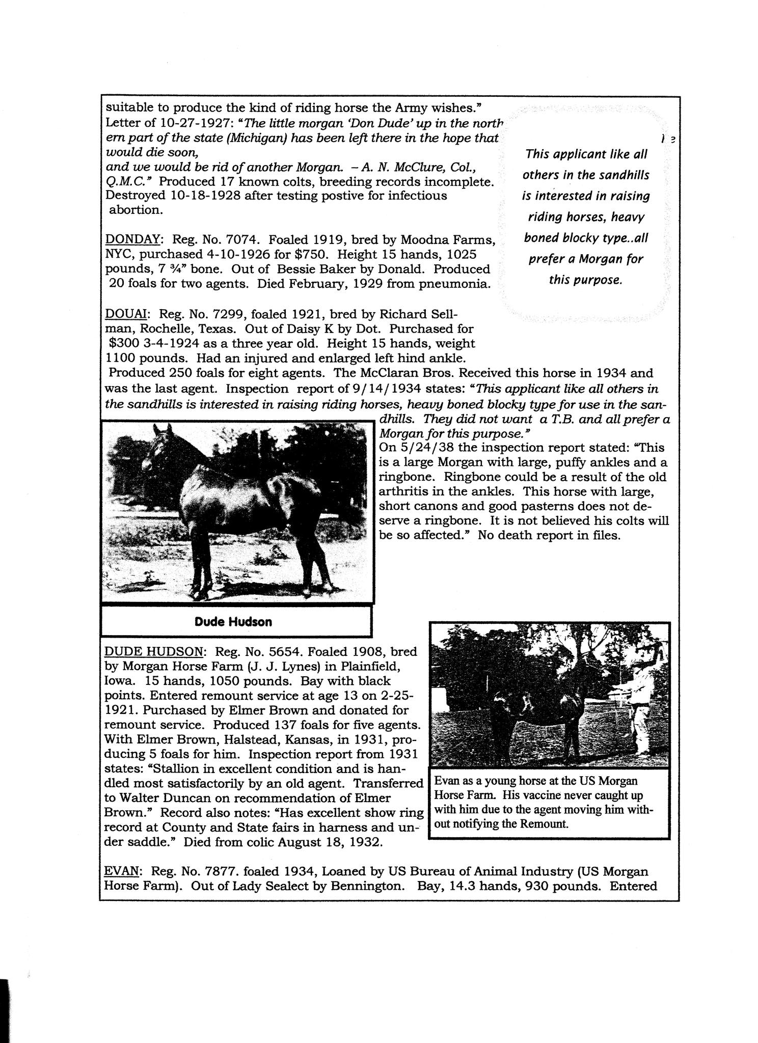 National Museum of the Morgan Horse - Joseph Battell wanted a complete ...