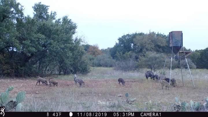 Monteith Ranch - Zoom in on the right! It’s a BIG ‘EN!! | Facebook