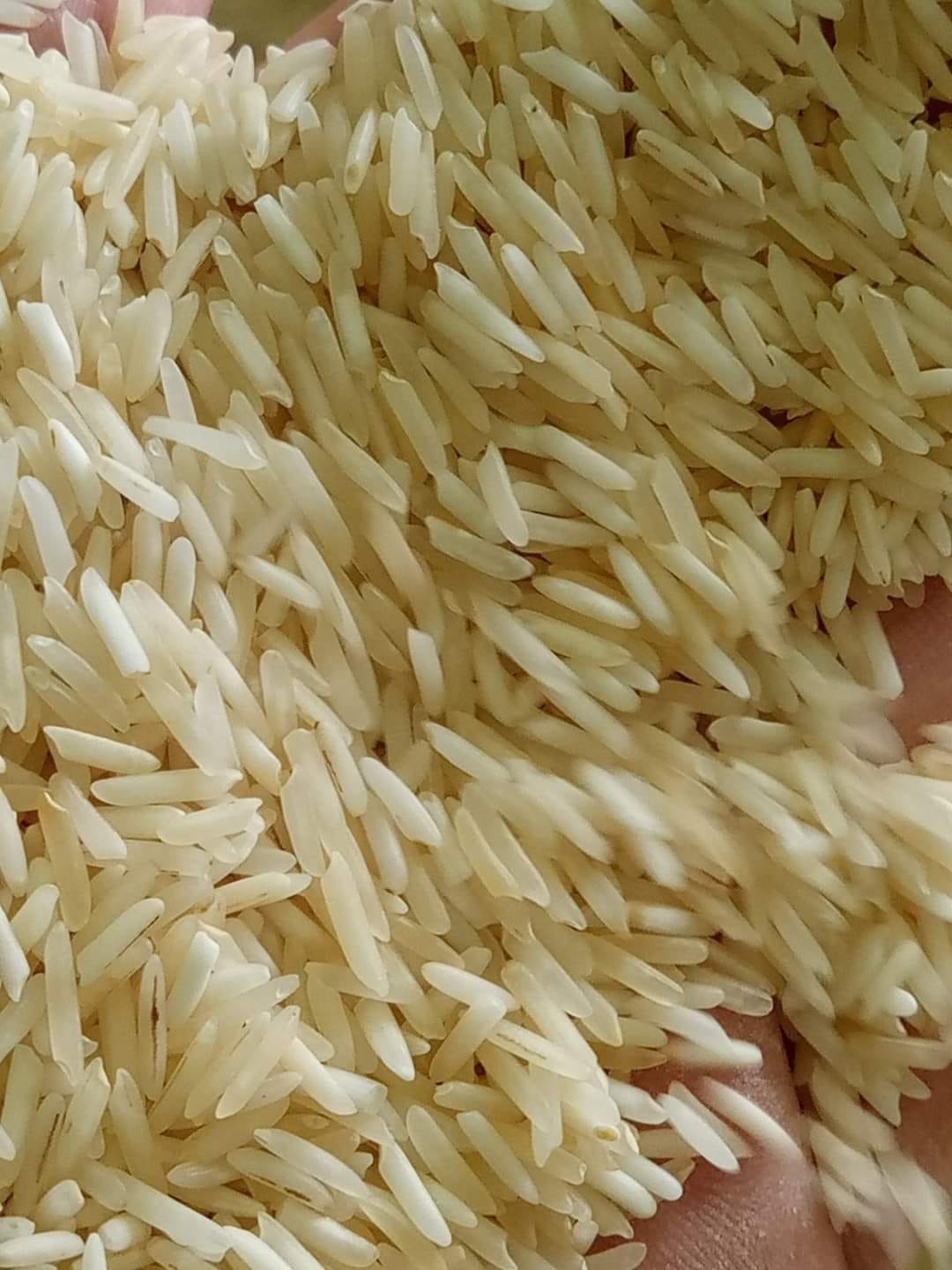Ahuja Rice Traders