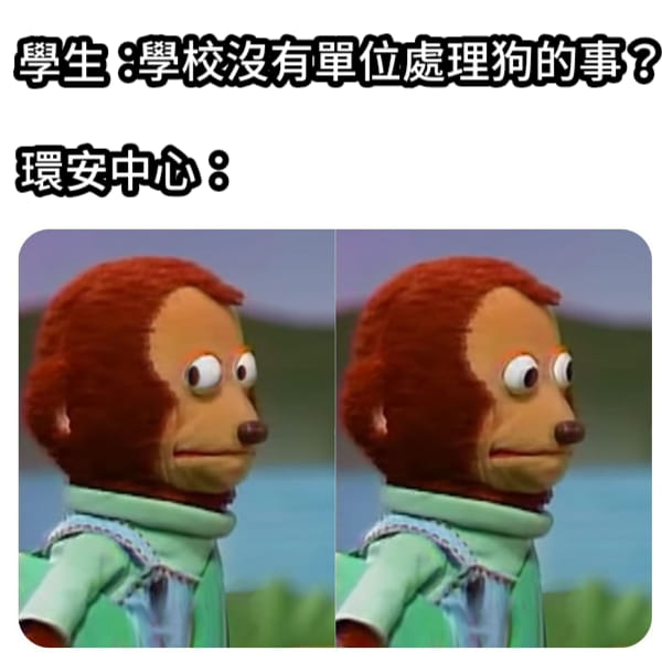發現校浪出事、學校出現新狗之類的事件 第一個想到的都是通知汪汪社... - Yuntech MEME 雲科迷因 | Facebook