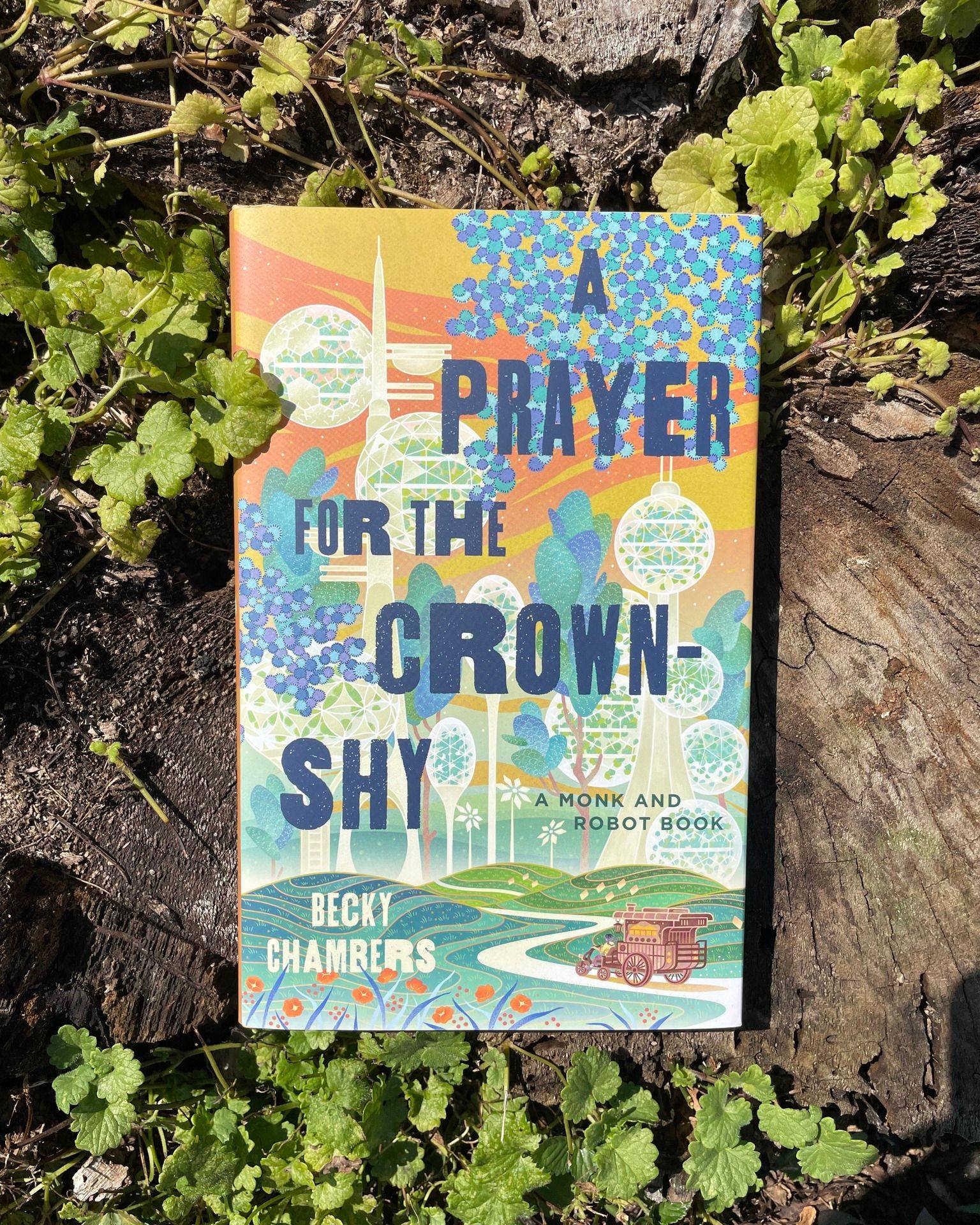 A Prayer For The Crown Shy