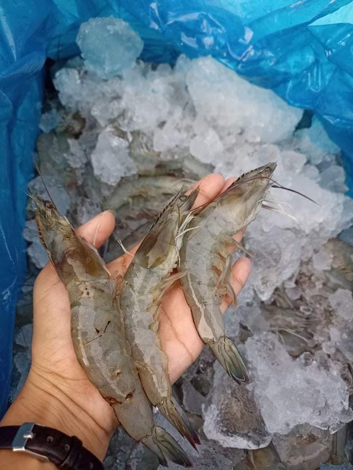 Delada's Fresh Seafoods | Alubijid