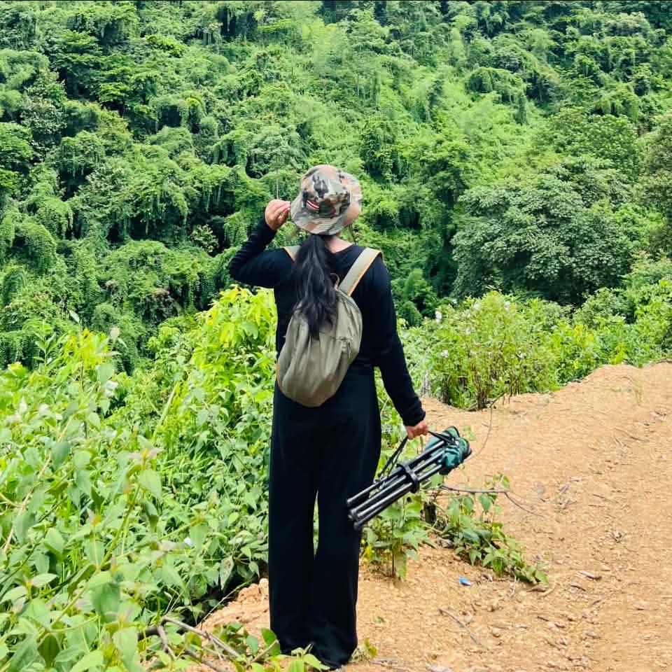 Pine tree🌲😇 #manipur #explore #fyp #mountaingirls #fbreels #fypシ゚ ...
