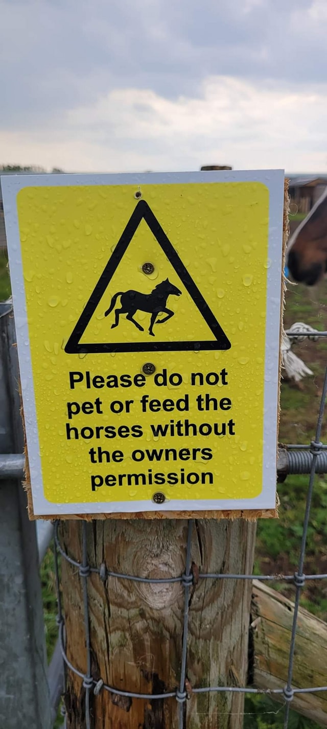 Formby - Dear Formby Bubble: PLEASE DO NOT PET OR FEED HORSES WITHOUT ...