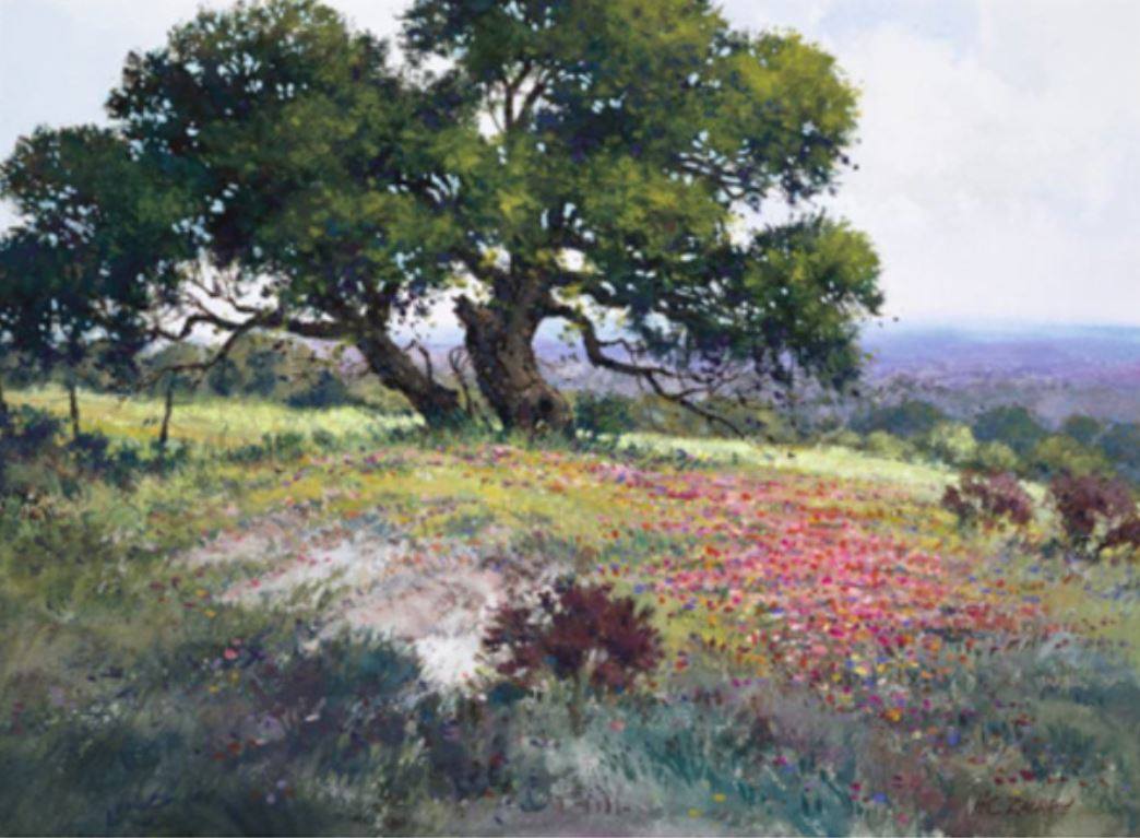 Zachry Art