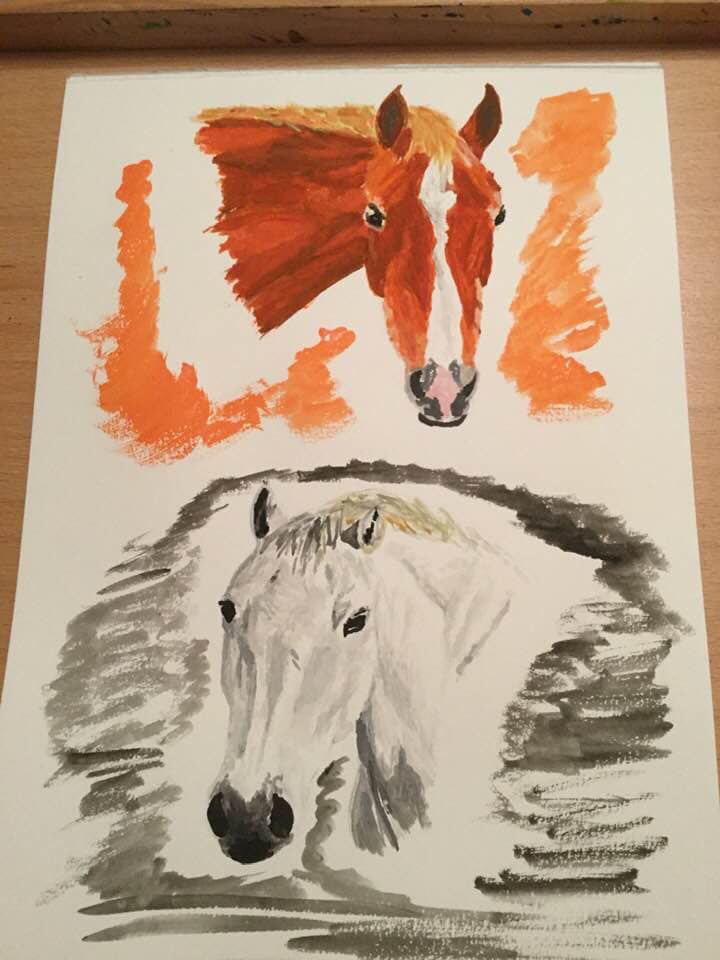 What a beautiful drawing by Christine... - North Midlands RDA