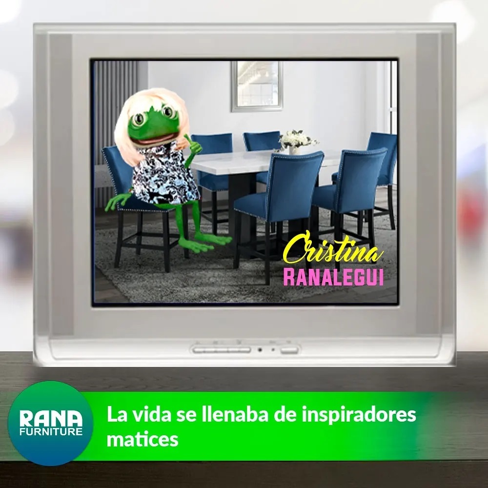 Rana Furniture - La historia de La Rana tal vez se parece...