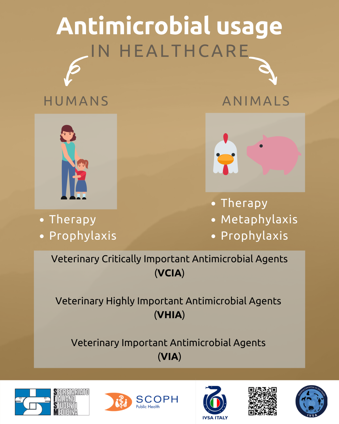 Ivsa Bologna In Human Medicine Antibiotics Are Used For Therapeutic Purposes After Identification Of The Pathogen Or Prophylaxis In Patients At Risk Of Developing Infectious Diseases In Veterinary Medicine They Can