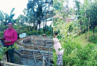 Rimba Tea