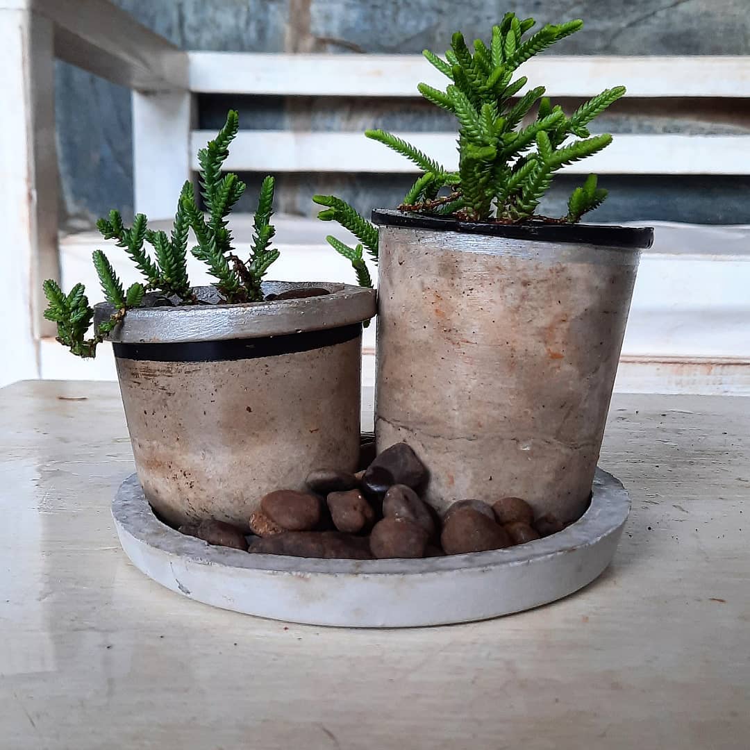 rococo.posadas - 🌱 Arreglo de RIZOS Nuevo arreglo de...