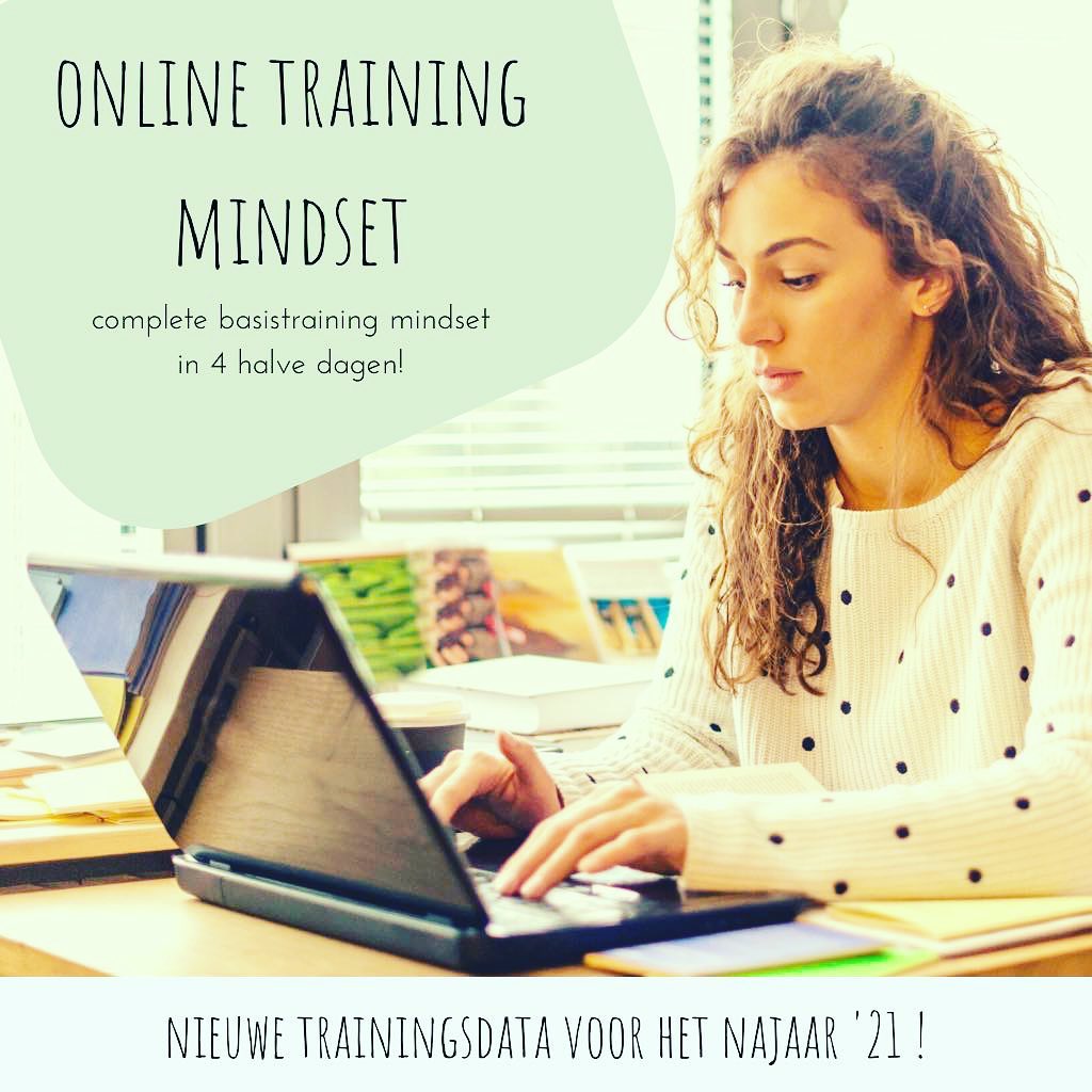 - Je kunt alles meteen gaan toepassen.... - Platform Mindset