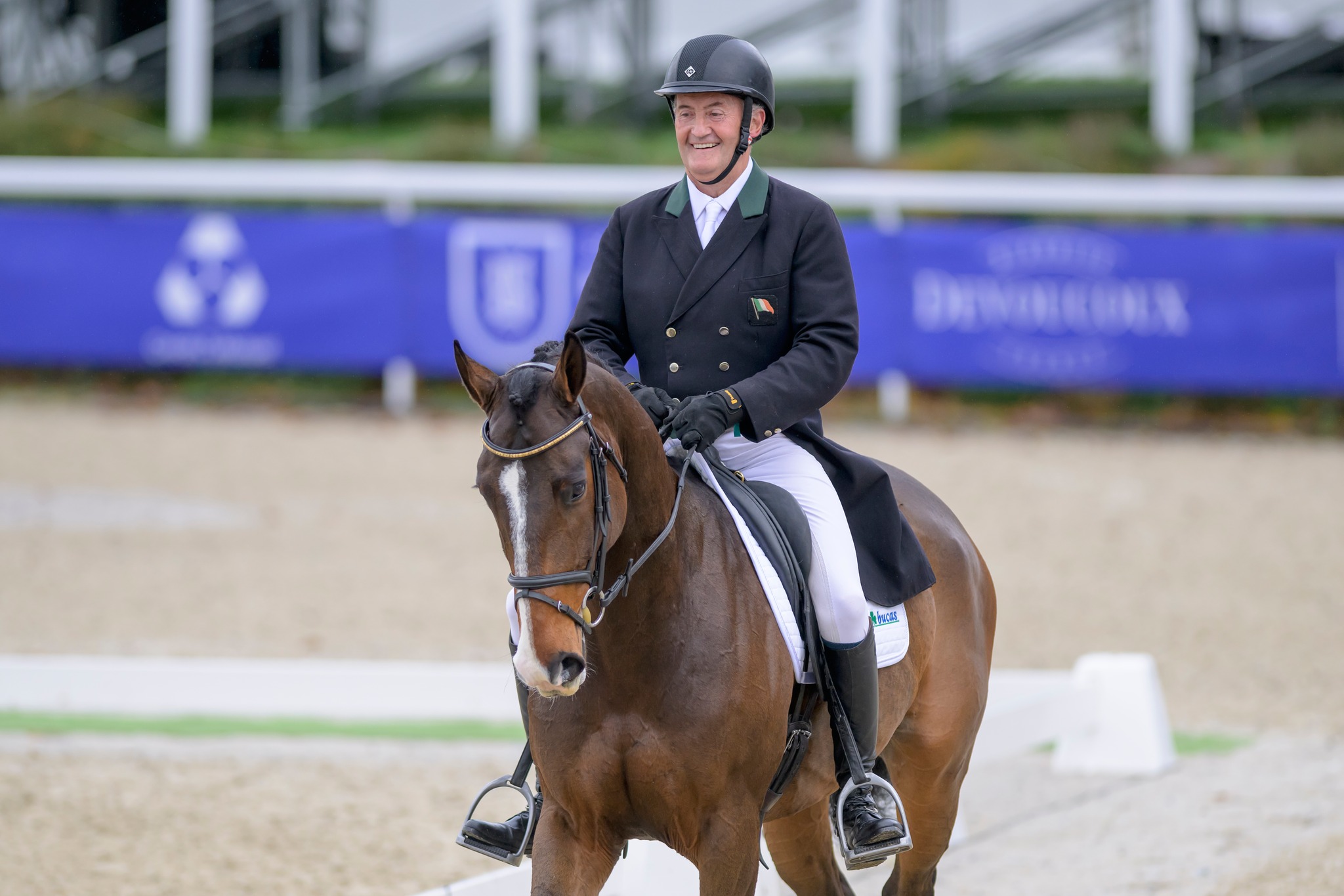 CGRC European Derby winner - Tell Louie (Pestana - Lemon Stacey