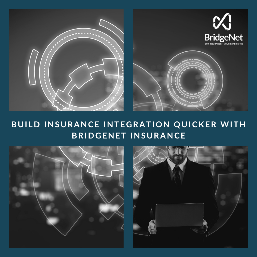 BridgeNet Insurance