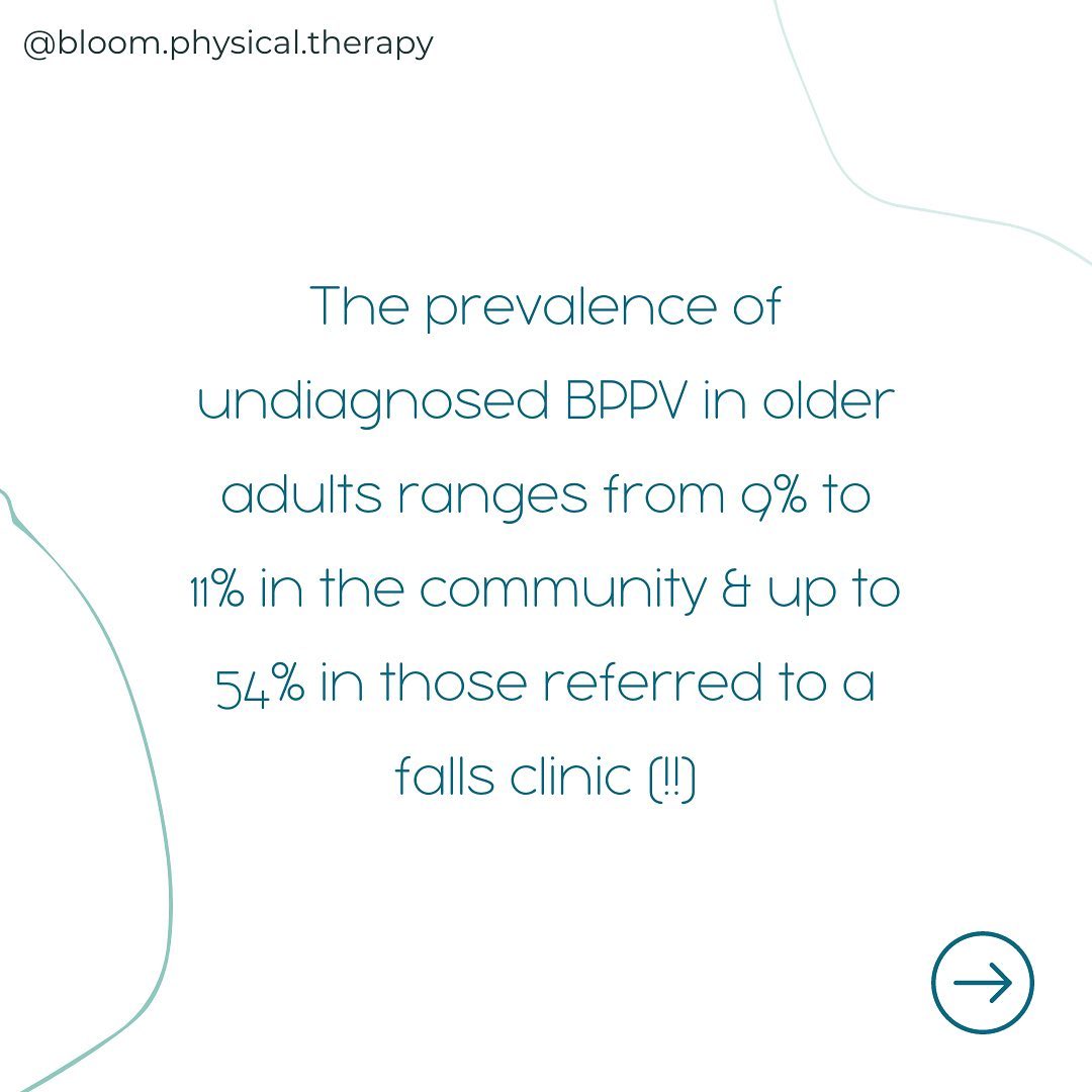 Bloom Physical Therapy | Rochester NY