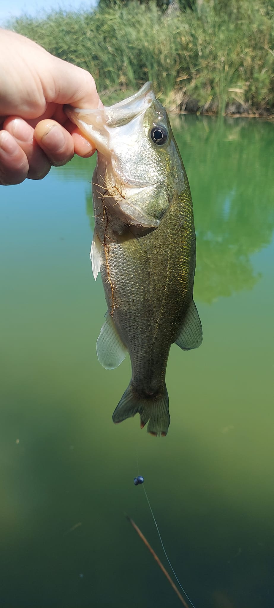 best fly reel for 3wt rod St. Croix Connect Outfit 7'9