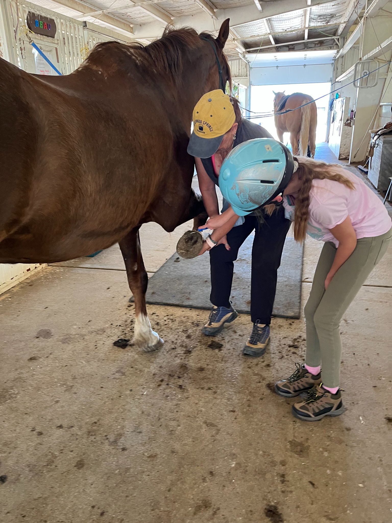 Learning about horses and... - Miracles Therapeutic Riding