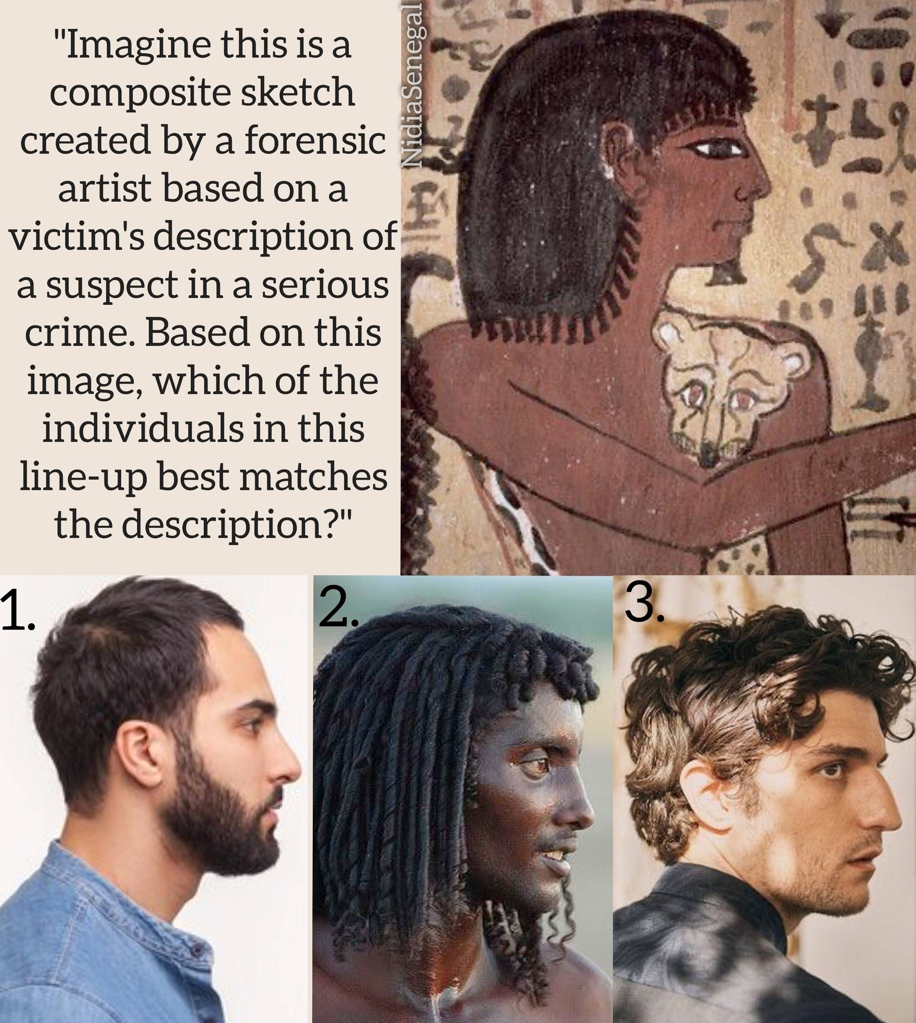 The Disciples of Diop: 