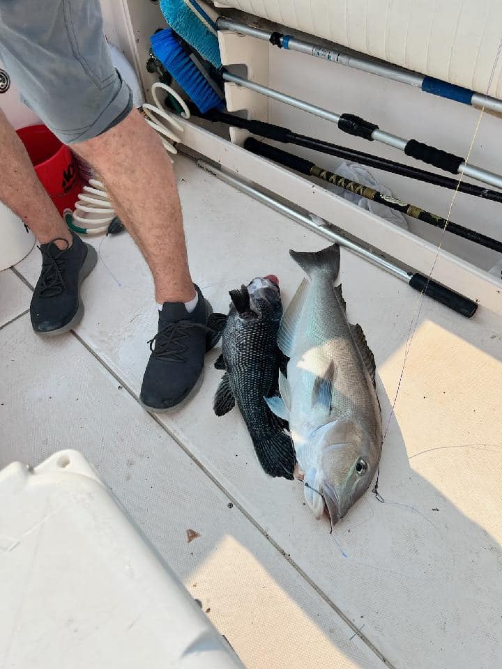 Knot at Work Fishing Charters