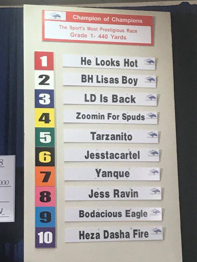Q-Racing - Here is the field with post positions for the...