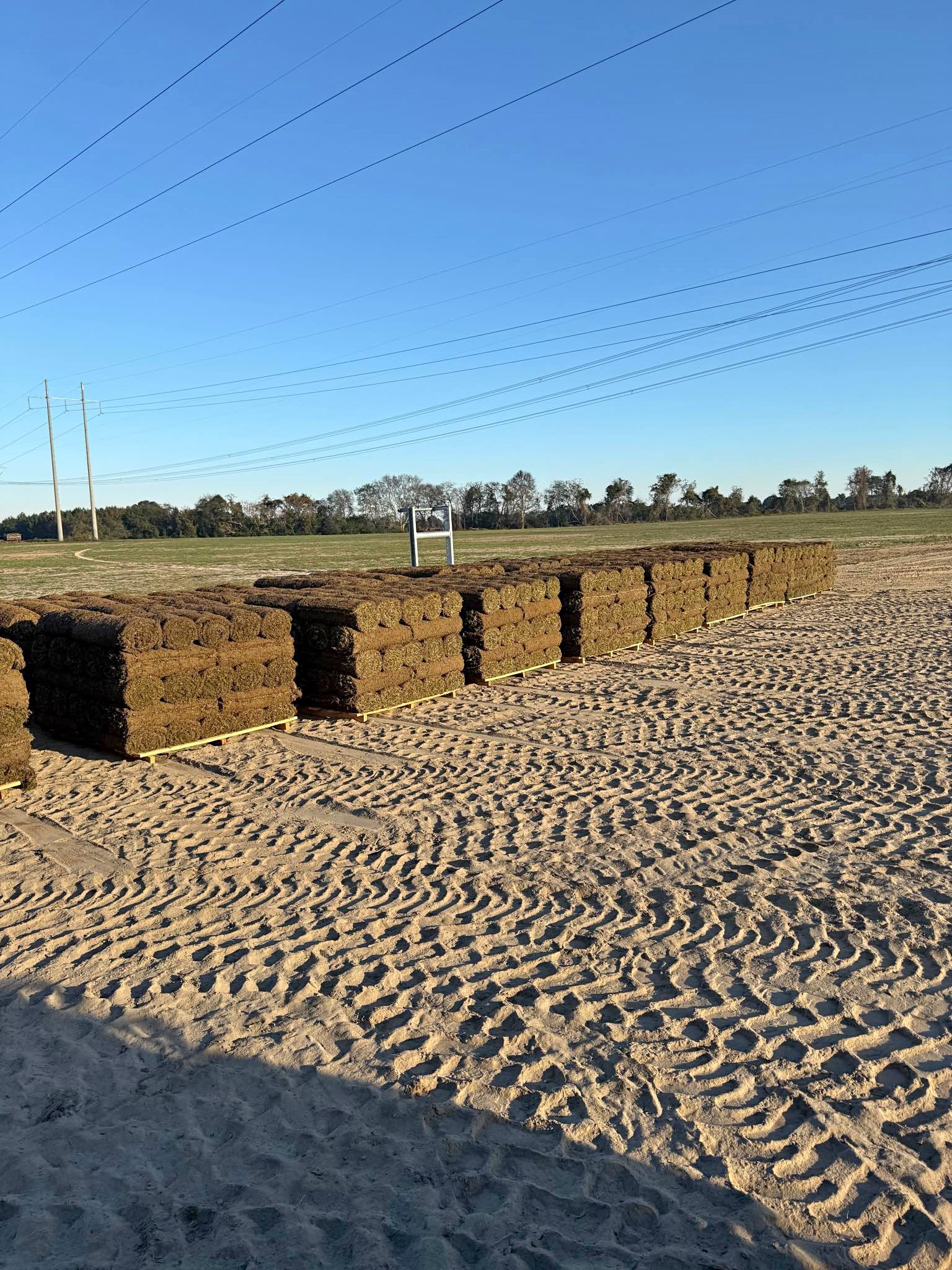 Sod for sale in Albany, Georgia | Facebook Marketplace