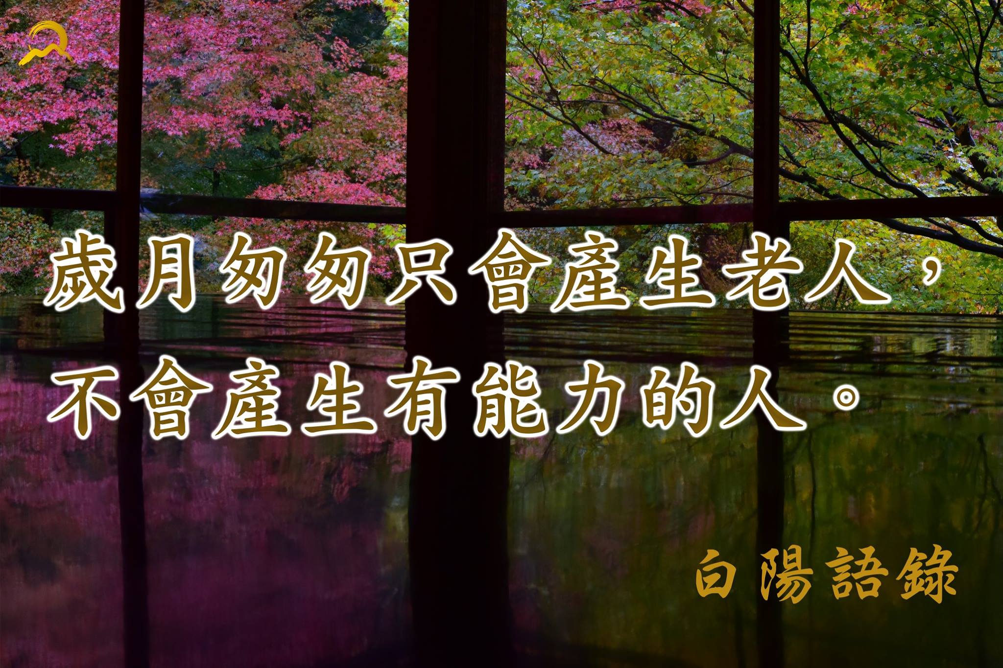 白陽電視台 - 【白陽語錄】 歲月匆匆只會產生老人，不會產生有能力的人。 #語錄 #白陽電視台 #Baiyang... | Facebook