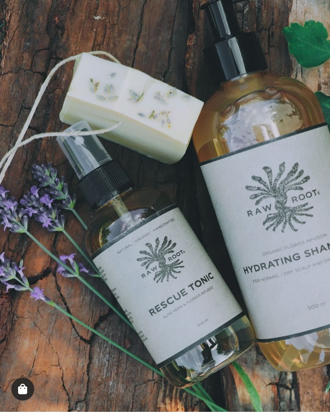 Lion Roots - Dreadlock Service NL | 's-Hertogenbosch
