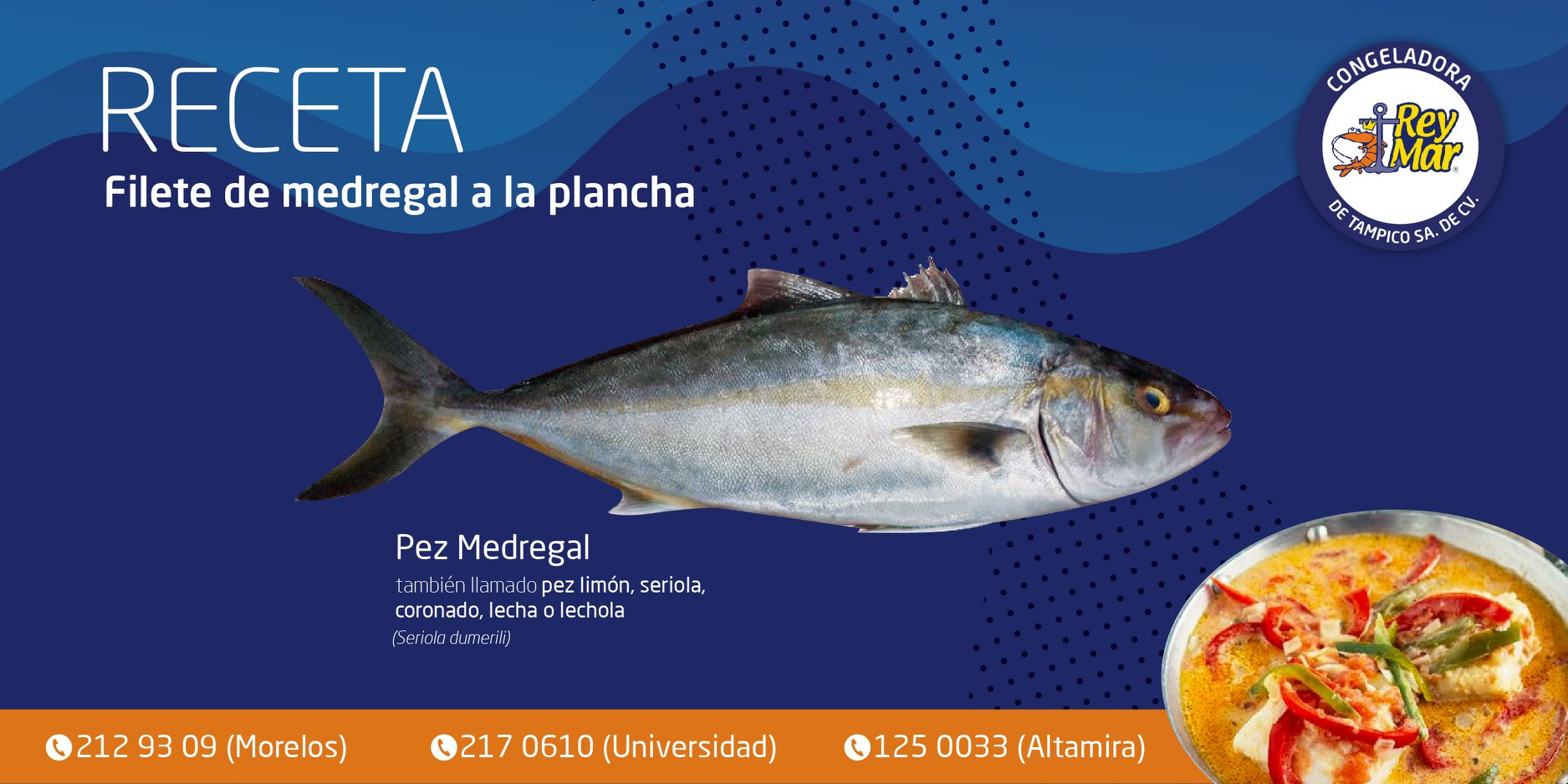 Reymar TAM | Tampico