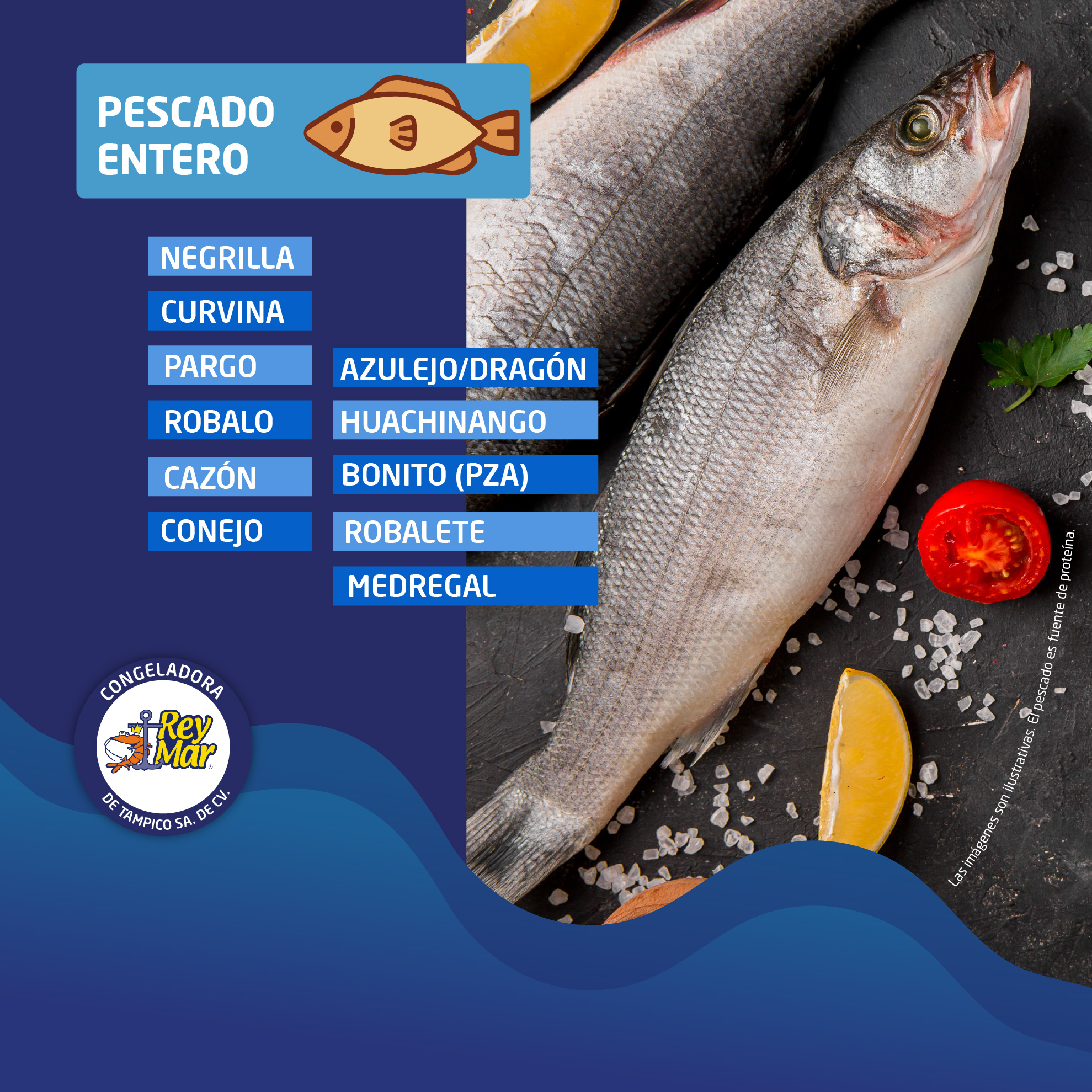 Reymar TAM | Tampico