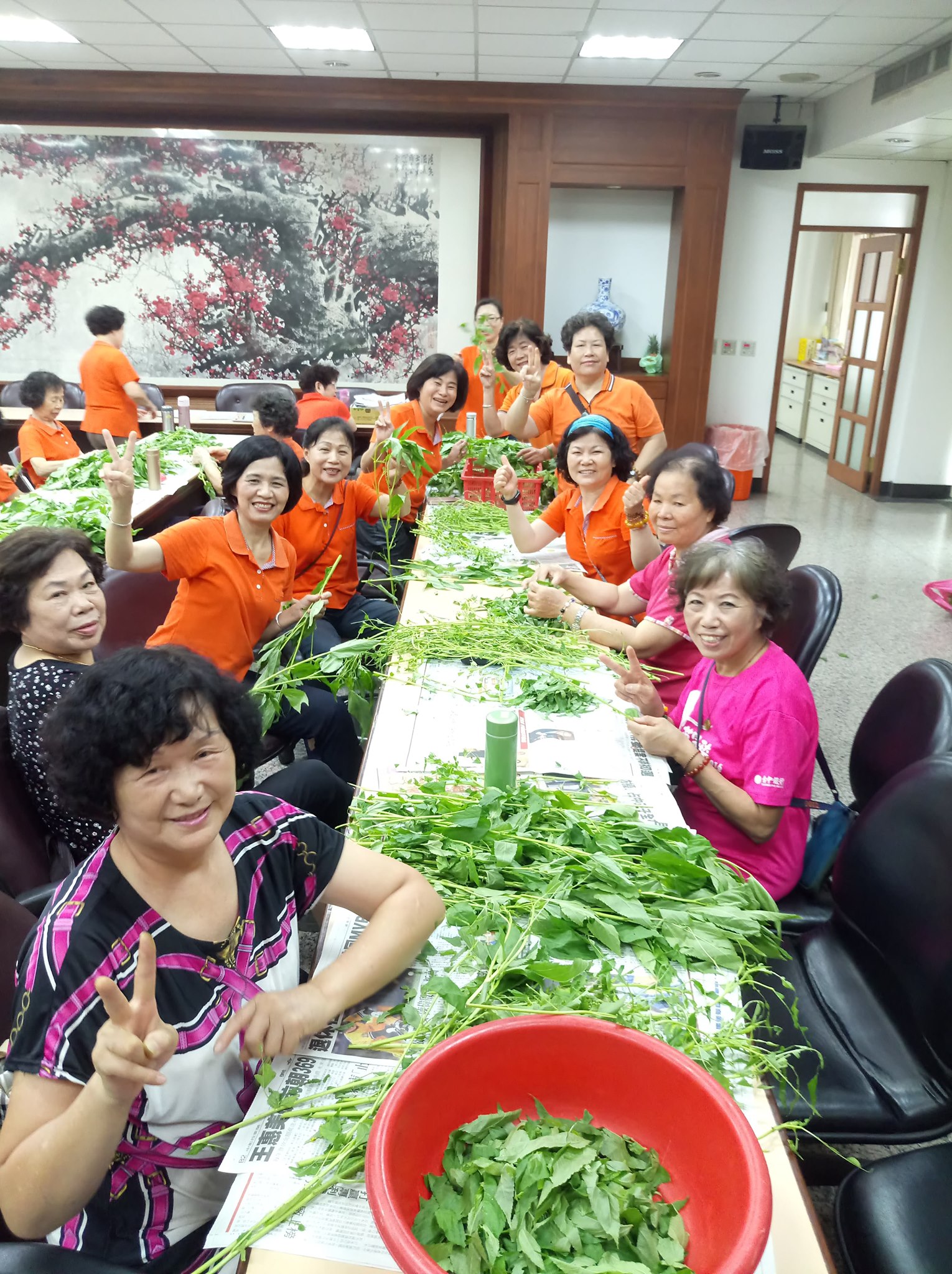 台中萬和宮 - 挑麻芛，為端午節活動做準備 👉麻芛小常識 為黃麻的嫩葉 盛產於夏季，而黃麻是台中地區的特產之一...