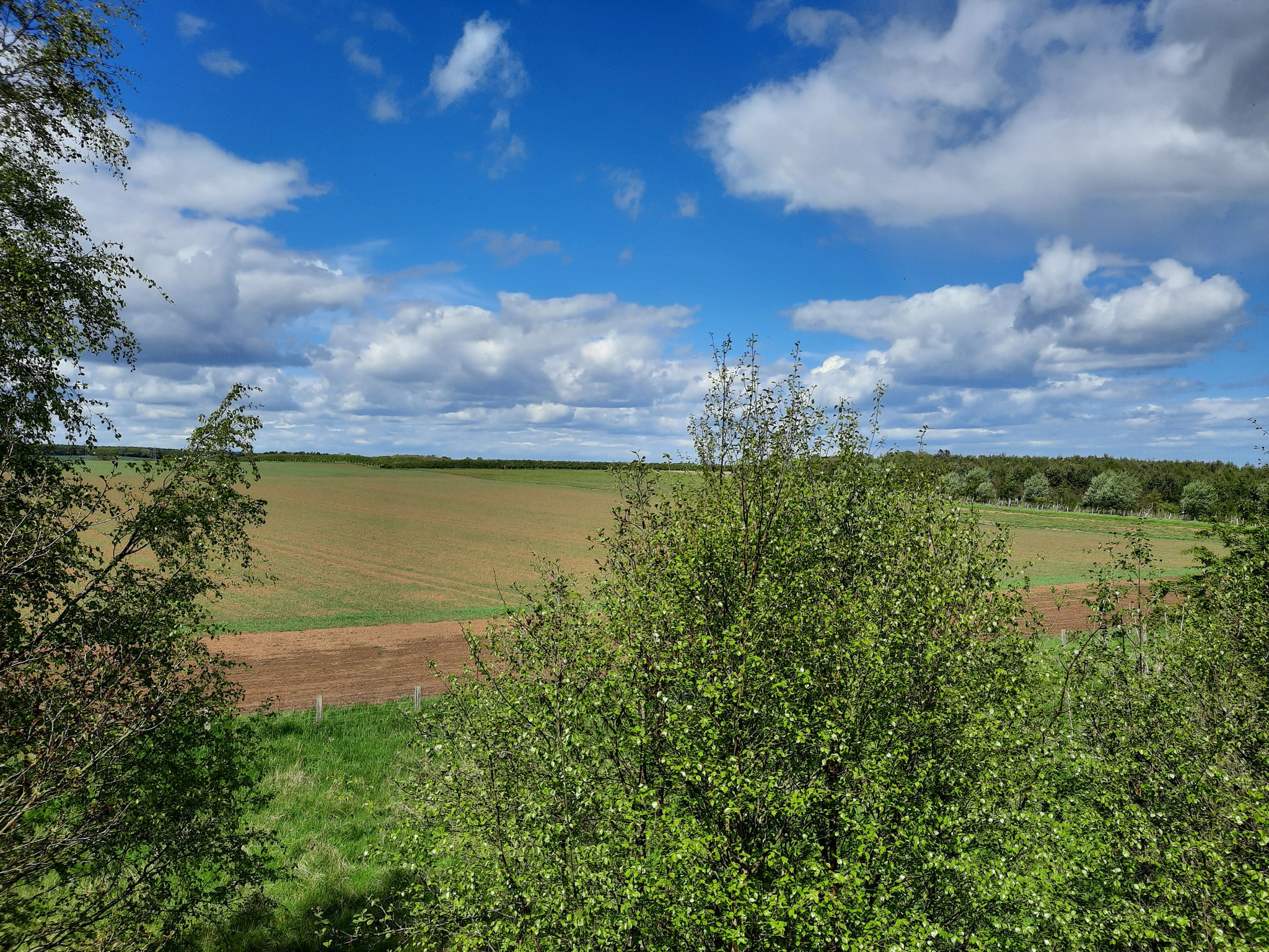 🌳We are absolutely thrilled! An incredibly generous donation of £2 ...