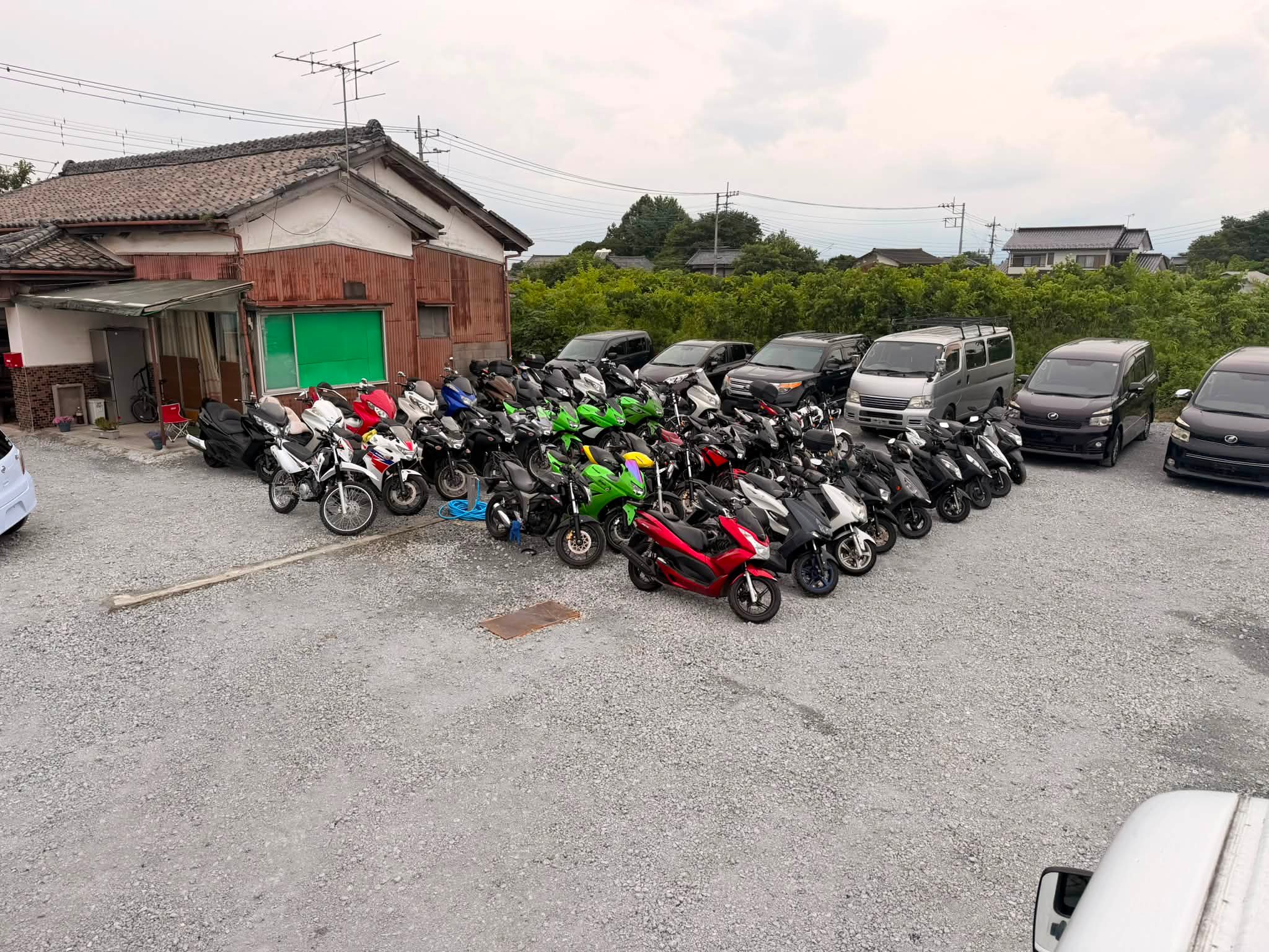 ⭐️All of these bikes are available in our stock. ⭐️All bikes