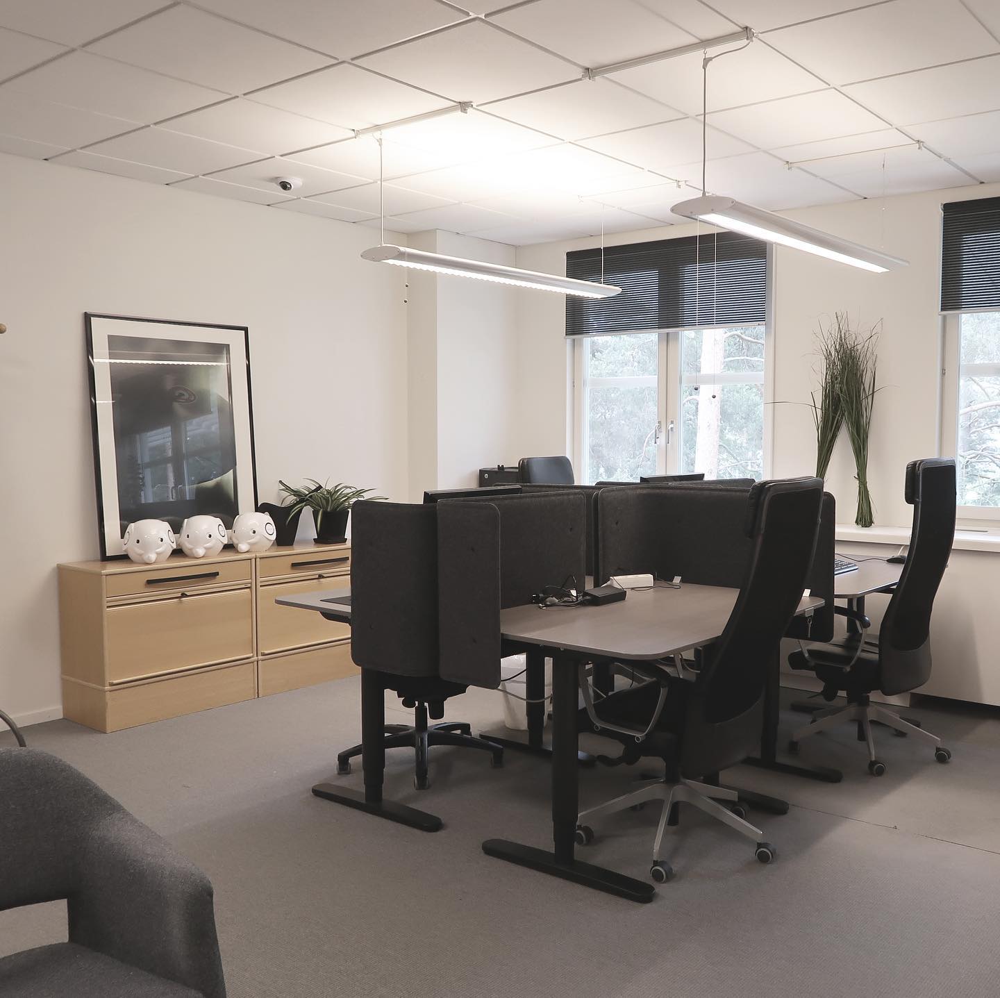 Roth Studio - I augusti lanserar vi vår tjänst...