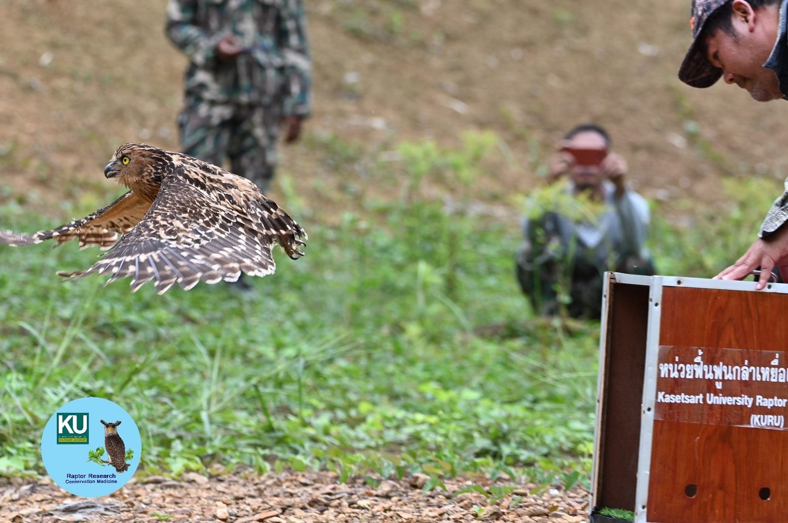 หน่วยฟื้นฟูนกล่าเหยื่อ Kasetsart University Raptor Rehabilitation Unit ...