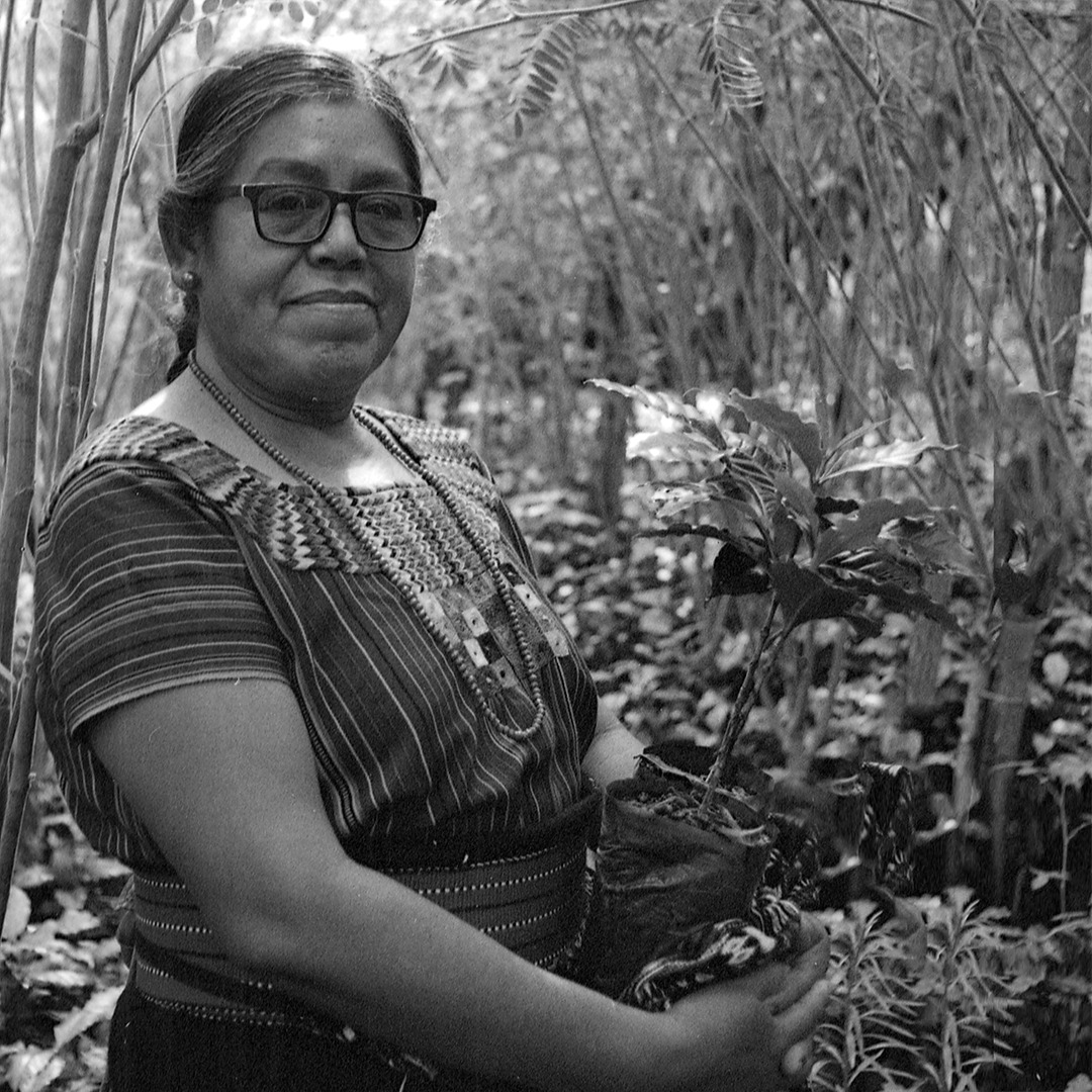 origen.photo.project - The women of the Central American coffee ...