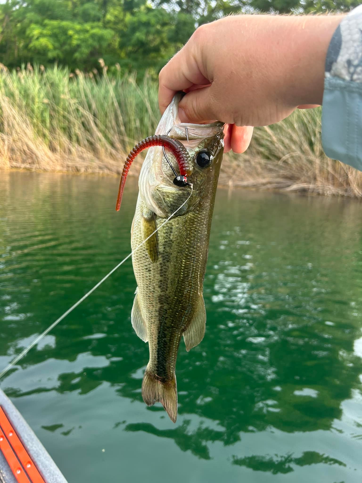 f5 fishing lure by rapala ORIGINAL FLOATER 2