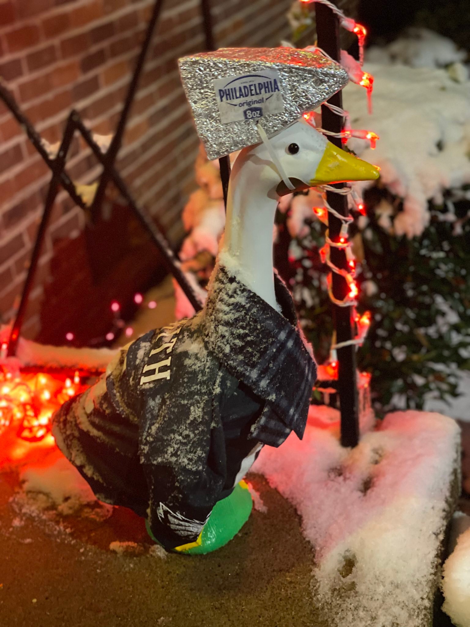 The Porch Goose Club of America | Goose photos for attention | Facebook