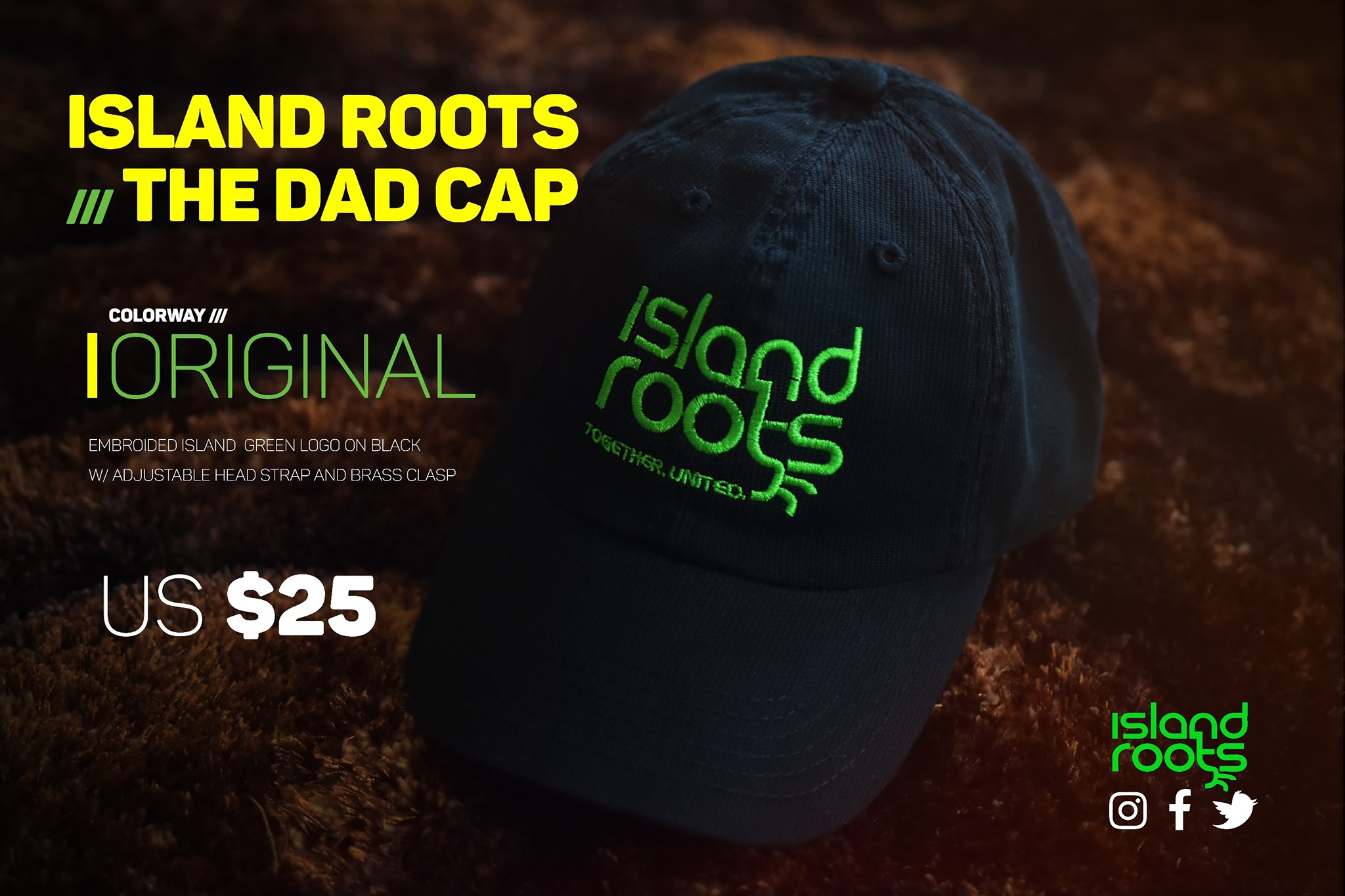Island Roots | Bridgetown