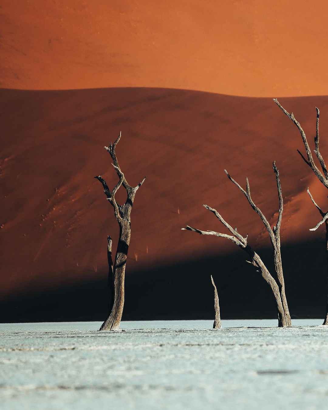Luke Stackpoole