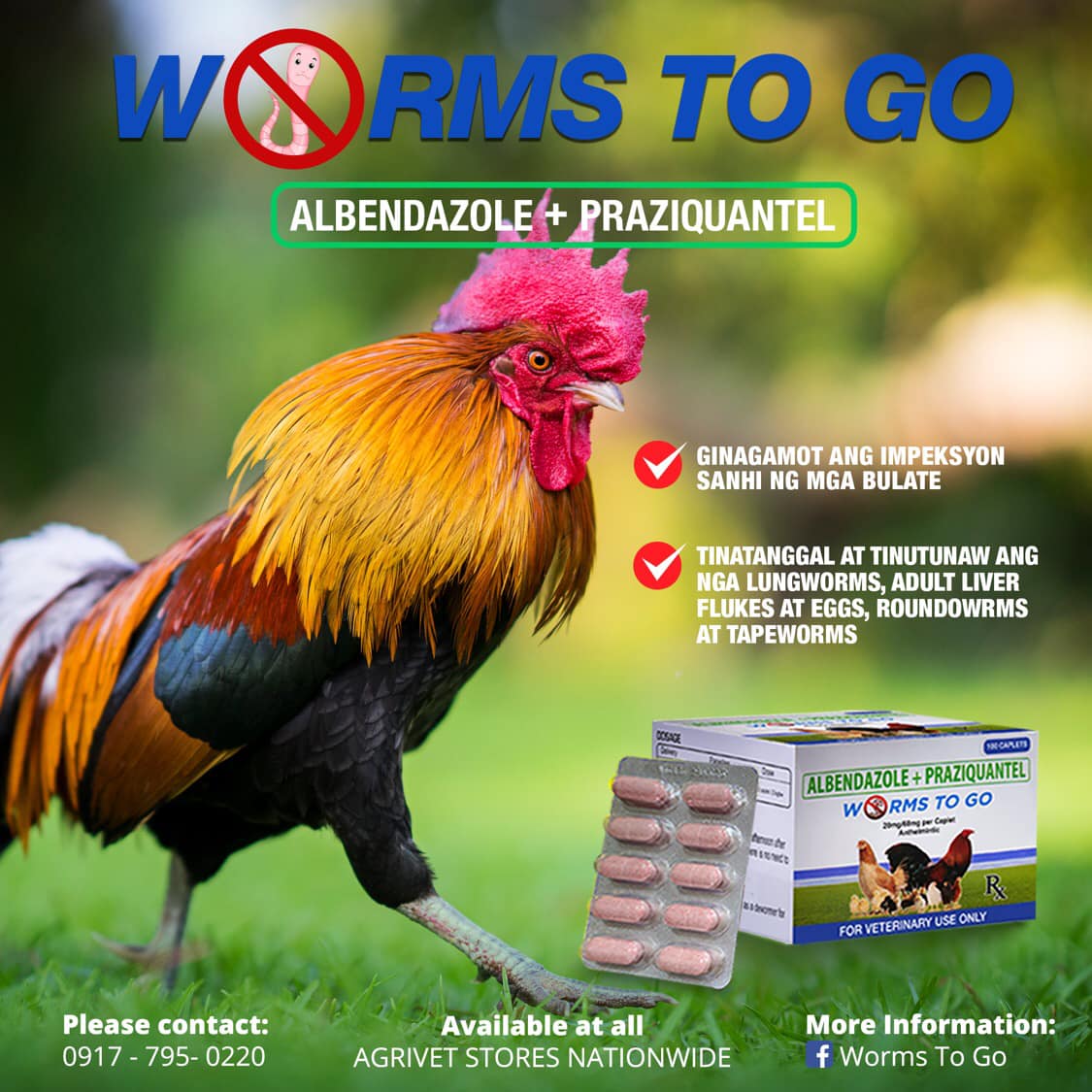 Worms To Go - PROBLEMA SA BULATE NG MANOK, WORMS TO GO...