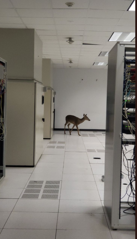 New Admin in the server room for... - Linuxopsys Linux Trends