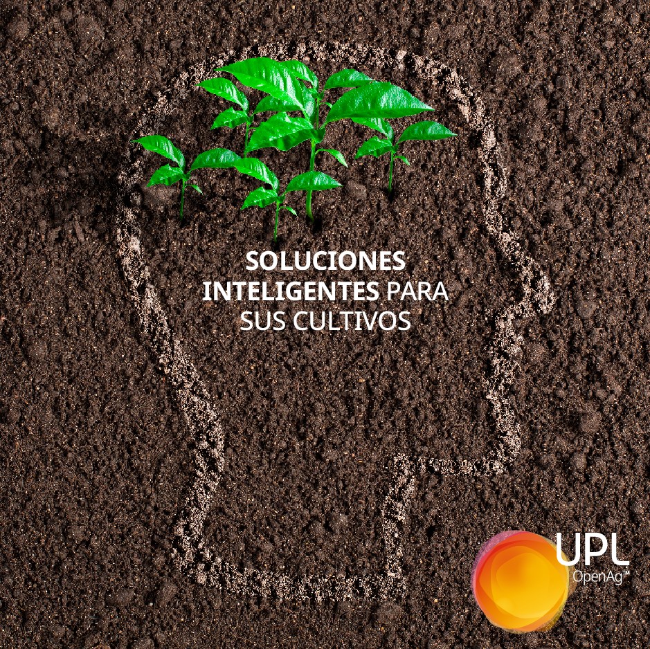 En UPL somos una red de agricultura... - UPL Centroamérica