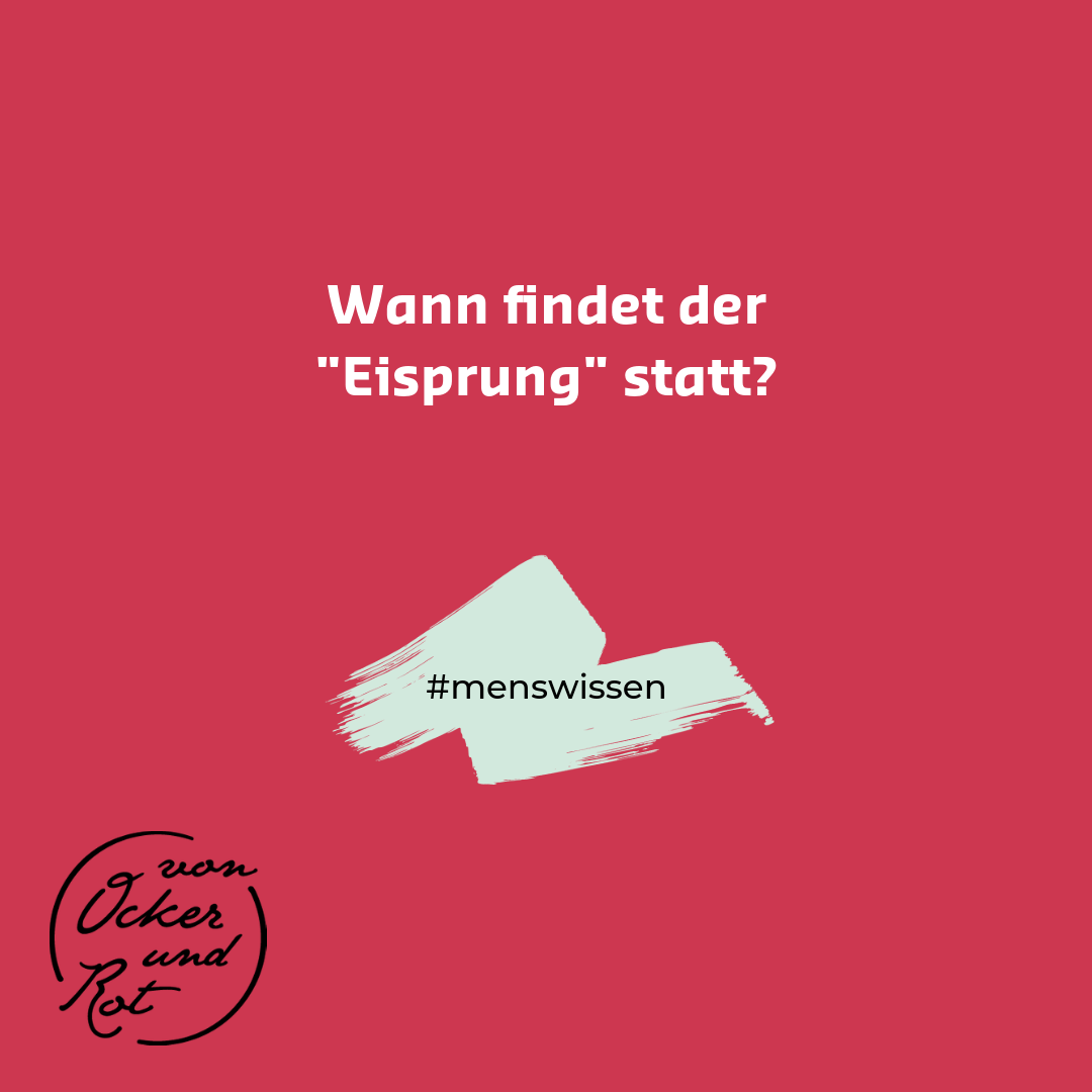 Der Eisprung Ovulation Findet Meist 11 Von Ocker Und Rot