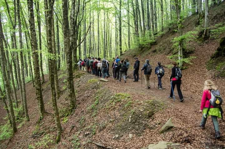 Passeggiate fra storia e natura