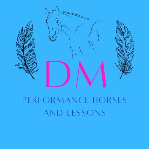 DM Performance Horses and Lessons