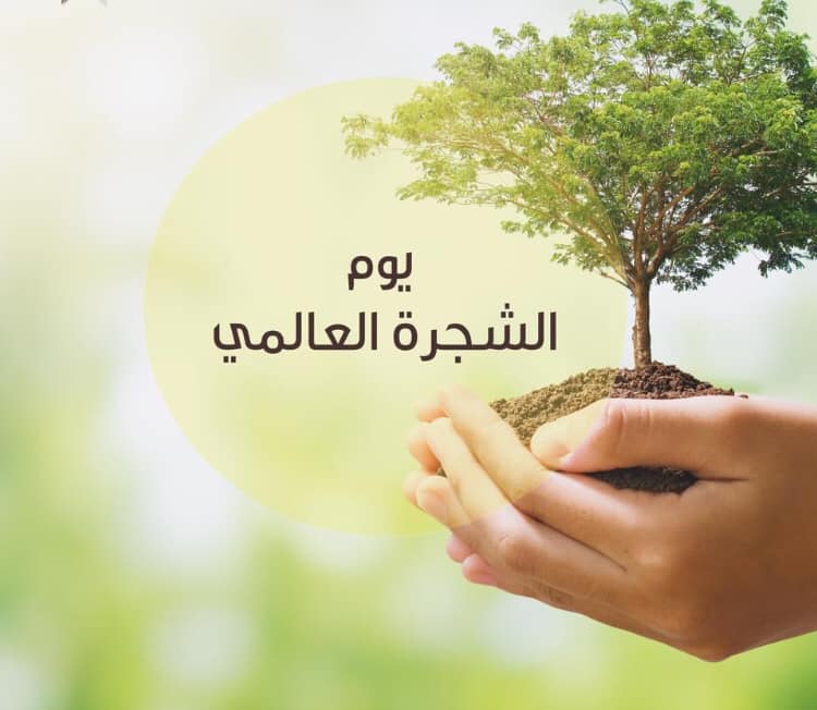 في الخامس عشر من كانون مدرسة حي المثلث الاساسيه المختلطه Facebook