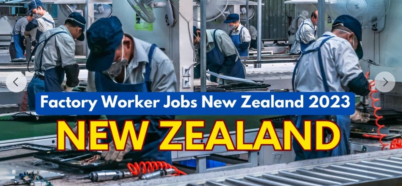 Factory Worker Jobs In New Zealand 2023 | | Facebook